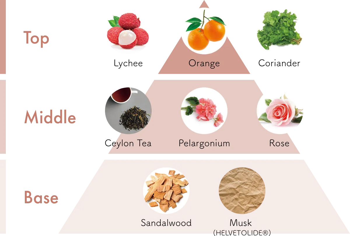 Aroma chart