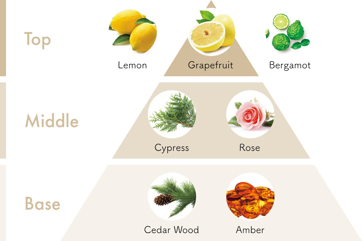 Aroma chart