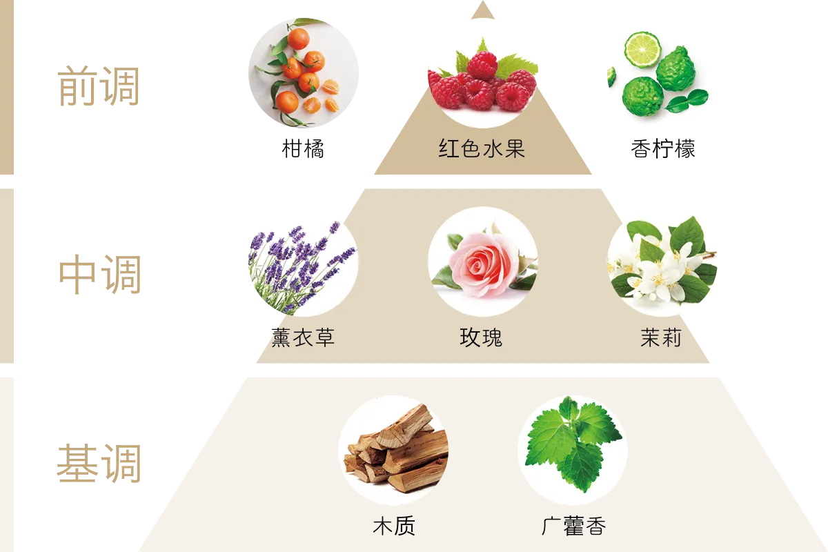 香气图表