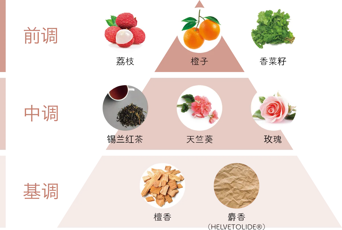 香气图表