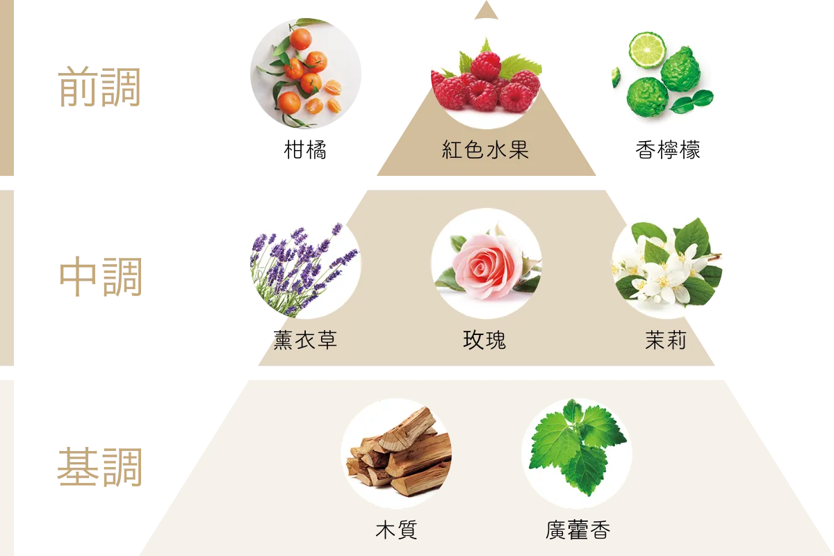 香氣圖表