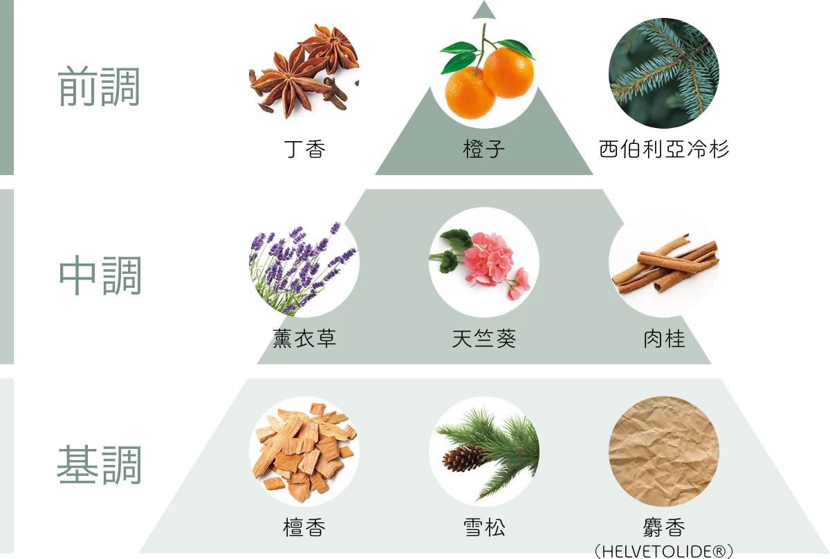 香氣圖表