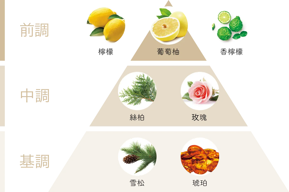 香氣圖表